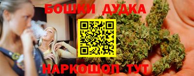 гидра Славгород