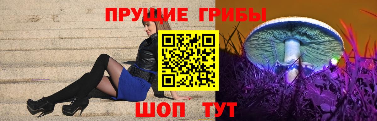 Псилоцибиновые грибы Psilocybine cubensis  Вход с VPN  Псков 